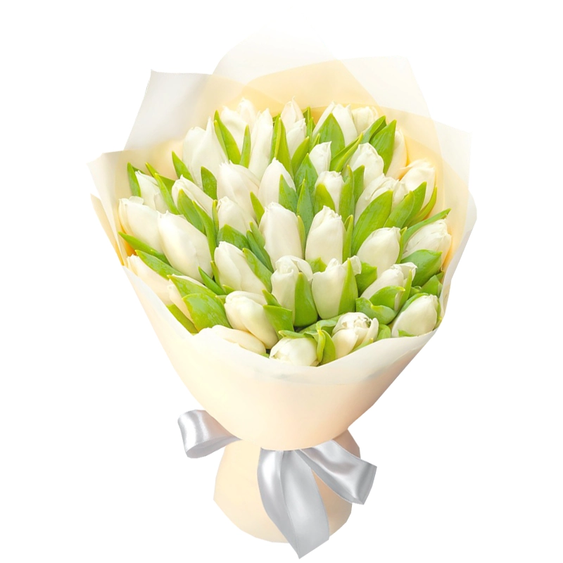 35 белых тюльпанов